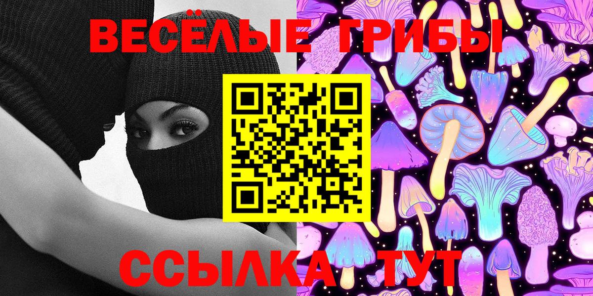 Галлюциногенные грибы Psilocybe Ахтубинск